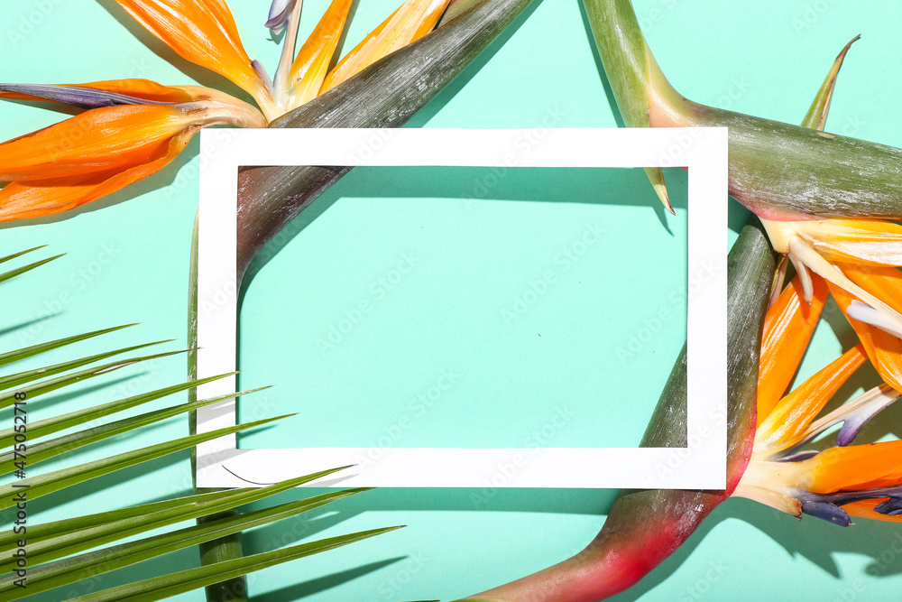 Empty picture frame, beautiful strelitzia flowers and palm leaf on color background, closeup