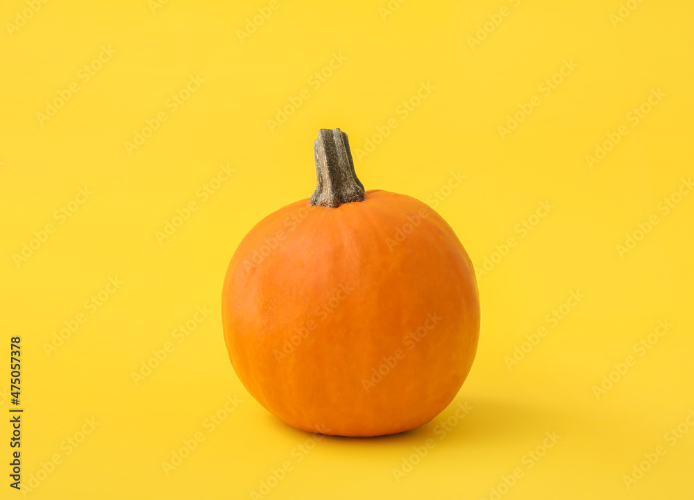 Ripe beautiful pumpkin on yellow background