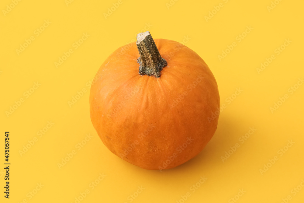 Ripe beautiful pumpkin on orange background