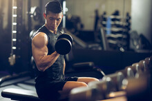 Young Man Working Out With Dumbbell At Gym