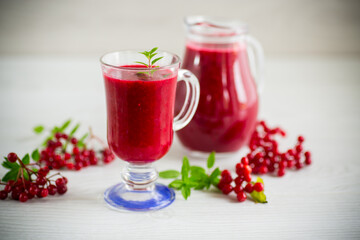 Wall Mural - freshly squeezed thick natural juice with pulp from ripe red viburnum in a decanter