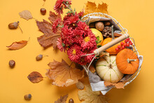 Composition With Pumpkins, Flowers And Autumn Leaves On Color Background