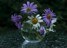 Bouquet Of Stunning Daisy Flowers In A Glass Vase. Beautiful Floral Background. Bouquet Of Flowers In The Rain Or Dew.Beautiful White And Purple Daisies In A Transparent Vase With Drops Of Dew Or Rain