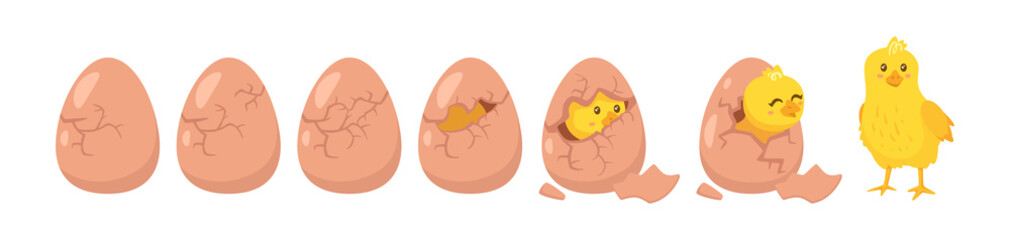 Hatching process. Vector cartoon illustration. White background.