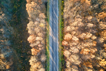 Canvas Print - Aerial view of empty intercity road between autumn woods at sunset. Top view from drone of highway in evening
