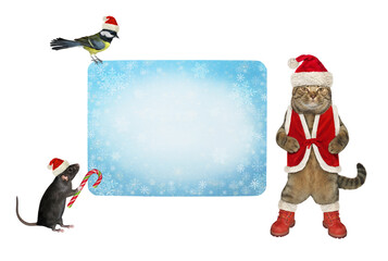 Wall Mural - A beige cat and a black rat in Santa Claus costumes near a blank winter poster. White background. Isolated.