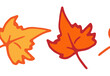border made of maple leaves. Seamless horizontal strip of maple leaf orange and yellow on white. hand-drawn in the style of autumn maple leaf doodles