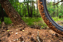 Black Electric Mountain Bike Front Wheel Full Of Sand In The Forest