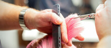 Woman Having A New Haircut. Male Hairstylist Cutting Pink Hair With Scissors In A Hair Salon, Close Up