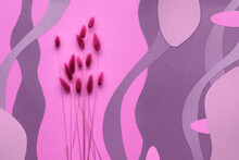 Monochrome Pink And Magenta Abstract Paper Background With Dry Bunny Tail Grass And Natural Organic Paper Shapes And Circles.