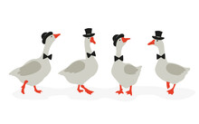 Cute Cartoon Geese Gentlemen Set.  Vector Illustration Of Funny Goose.