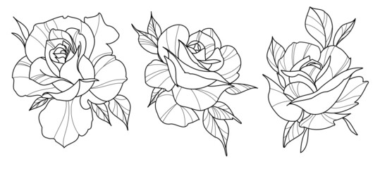 3 tattoo rose outlines black and white line art vector