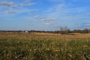 Sticker - Grassy Field Under a Blue Cloudy Sky