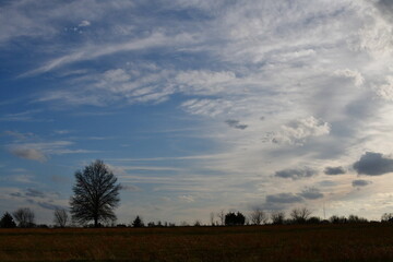 Poster - Cloudy Blue Sky Over a Rural Field