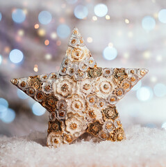 Wall Mural - Christmas Star Decoration