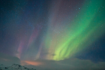 Wall Mural - aurora sky background