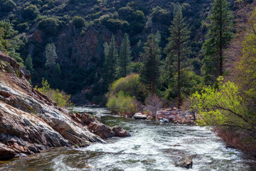 Canvas Print - Beautiful view of a river in Yosemite National Park, California, USA