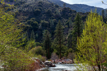 Poster - Beautiful view of a river in Yosemite National Park, California, USA