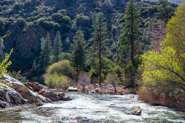 Poster - Beautiful view of a river in Yosemite National Park, California, USA