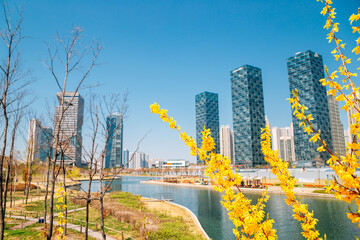 Wall Mural - Spring of Songdo Central Park and skyscraper in Incheon, Korea