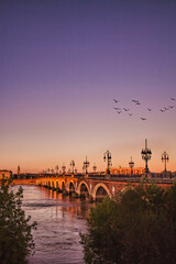 Canvas Print - Bordeaux river bridge with St Michel cathedral during the sunset in France
