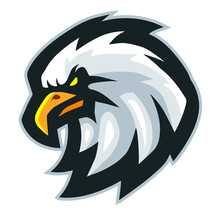 Cartoon Eagle Head Mascot Design