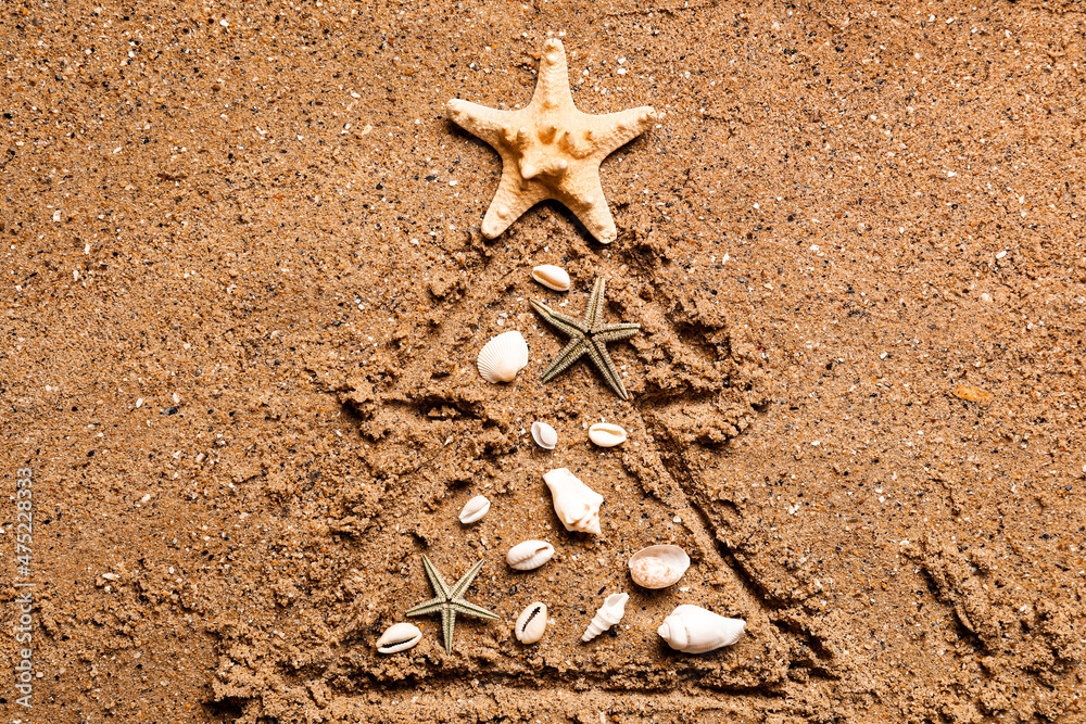 Christmas tree made of sea shells on beach sand