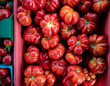 Fresh, shiny heirloom tomatoes are on piled up and on display at a Farmers Market in Oregon