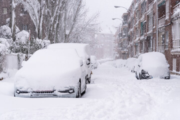 Poster - View of city street covered in snow during heavy snowfall with trapped vehicles