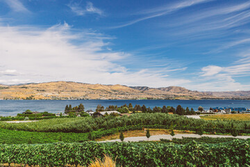 Sticker - Beautiful view of the winery near the lake Chelan in Washington