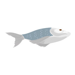 Canvas Print - tuna fish design