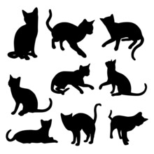 Vector Silhouette Of Cat On White Background
