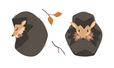 Wall Mural - Cute Spiny Hedgehog Mammal and Autumn Leaf Vector Set