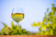 Verre de vin blanc dans un paysage de vignes.