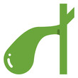 gallbladder flat icon
