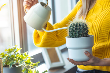 Young happy brunette woman pouring water from watering can on potted plants in her home greenhouse, her little private garden. A Young Woman Waters Her Houseplants