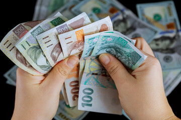 Wall Mural - Girl counts with his hands various banknotes of the Czech crown on a black background. Money transfer.