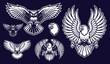 A set of vectors illustrations of birds, such as an eagle, an owl and others.
