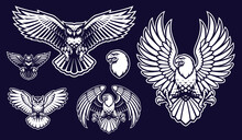 A Set Of Vectors Illustrations Of Birds, Such As An Eagle, An Owl And Others.