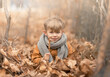 © Olga - a boy sits in a pile of autumn leaves on the ground and holds a dry leaf in his hands. the concept of childhood in autumn