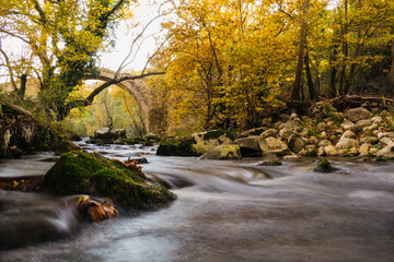 Canvas Print - Fast-flowing river through the forest