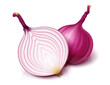 Red whole and half of onion. Useful vegetable. Isolated on white background. Eps10 vector illustration.