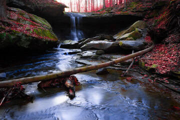 Wall Mural - Stream flowing on rocks in an autumn forest