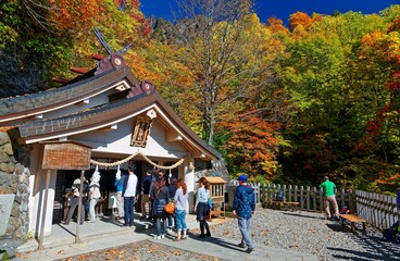 Wall Mural - Tourists lining up to worship in the shrine of Togakushi Jinja, a famous Shinto Temple in Nagano, Japan ~ Autumn scenery of a Jinjya of traditional Japanese style in a forest of colorful maple foliage