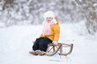 Smiling baby girl in warm clothes sitting on sledge on white snow at nature park. Happy child enjoying cold winter day. 2 years old toddler. Front view.