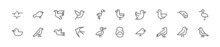 Set Of Simple Bird Line Icons.