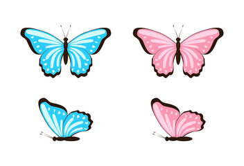 Blue and pink butterflies vector set of flat illustrations