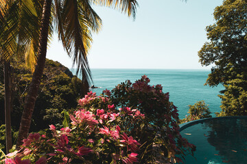 Sticker - Blooming exotic plants on an island