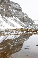 Sticker - Southern Ocean, South Georgia, Rosita Harbor, Antarctic fur seal. The snow covered mountains are reflected in the ice melt.