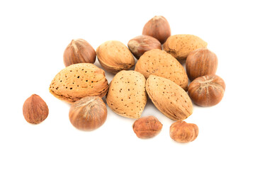 Poster - Various nuts 